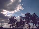 IM004258AA.JPG